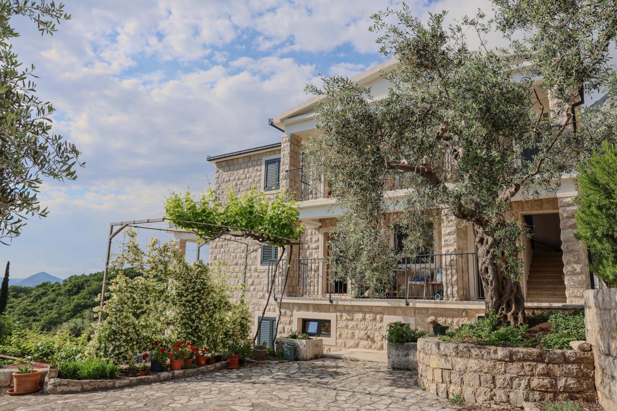 Residence Vukovic, Режевичи Экстерьер фото